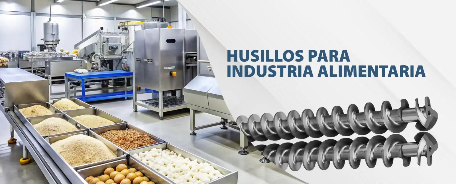 Husiilos Guadalajara - Banners1